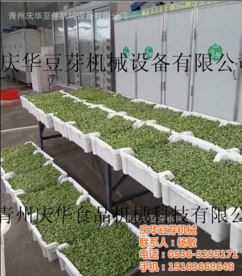 第8359章 图腾|太阳成集团tyc7111cc(图3) 太阳成集团tyc7111cc