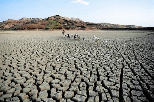 太阳成集团tyc7111cc