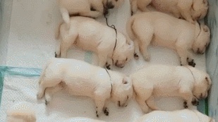 太阳成集团tyc7111cc|第241章 劈的好劈的妙(图3) 太阳成集团tyc7111cc