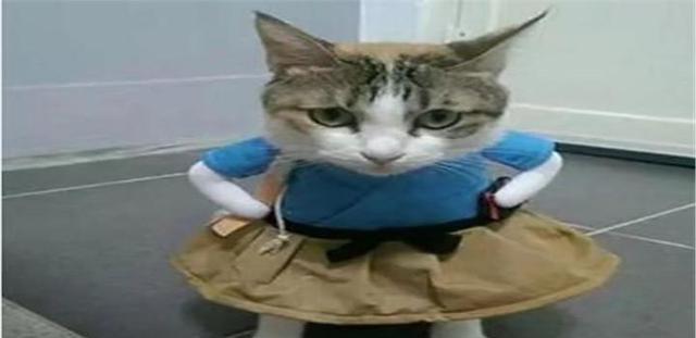 我县召开全县第三次道路交通安全联席会议和全县消防安全工作会议_太阳成集团tyc7111cc(图3) 太阳成集团tyc7111cc