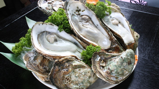 太阳成集团tyc7111cc