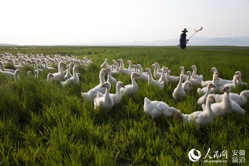 太阳成集团tyc7111cc