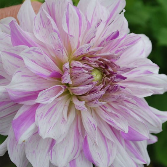 太阳成集团tyc7111cc