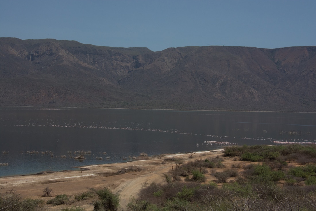 太阳成集团tyc7111cc