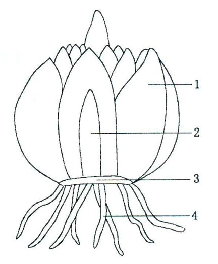 太阳成集团tyc7111cc