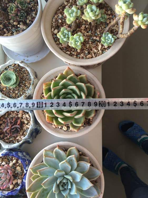 太阳成集团tyc7111cc