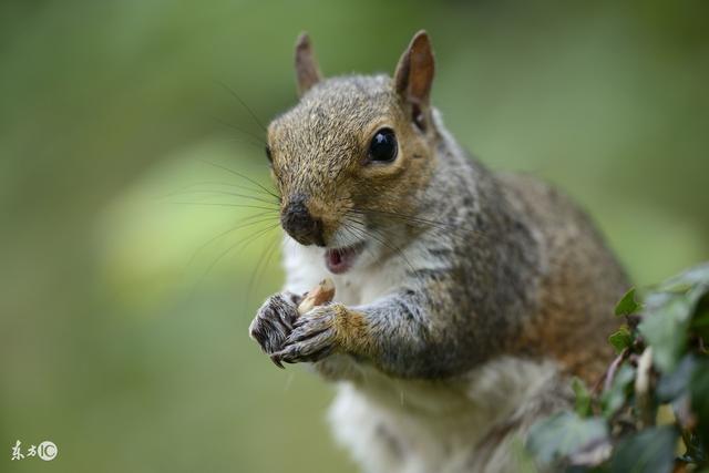 太阳成集团tyc7111cc