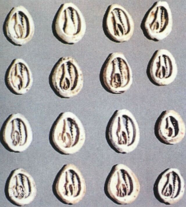 太阳成集团tyc7111cc