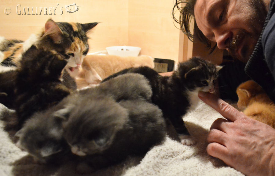 太阳成集团tyc7111cc