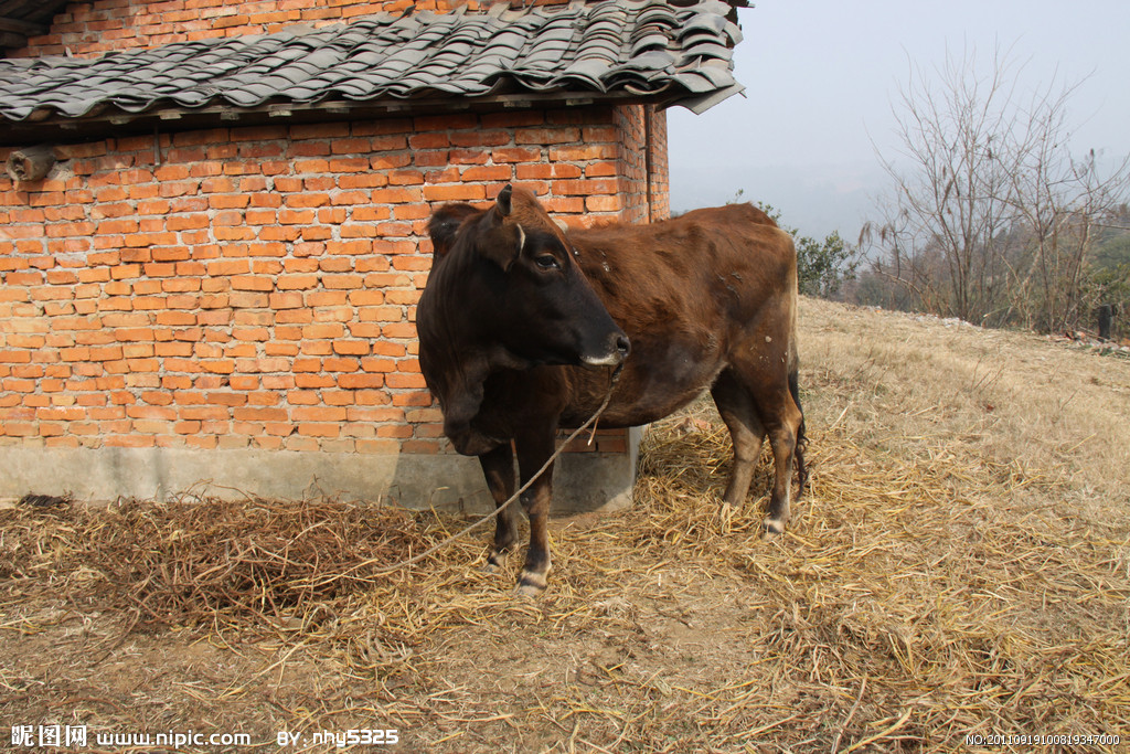 太阳成集团tyc7111cc
